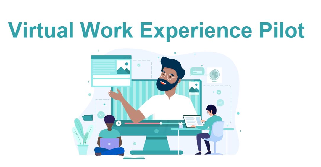 Virtual Work Experience Pilot